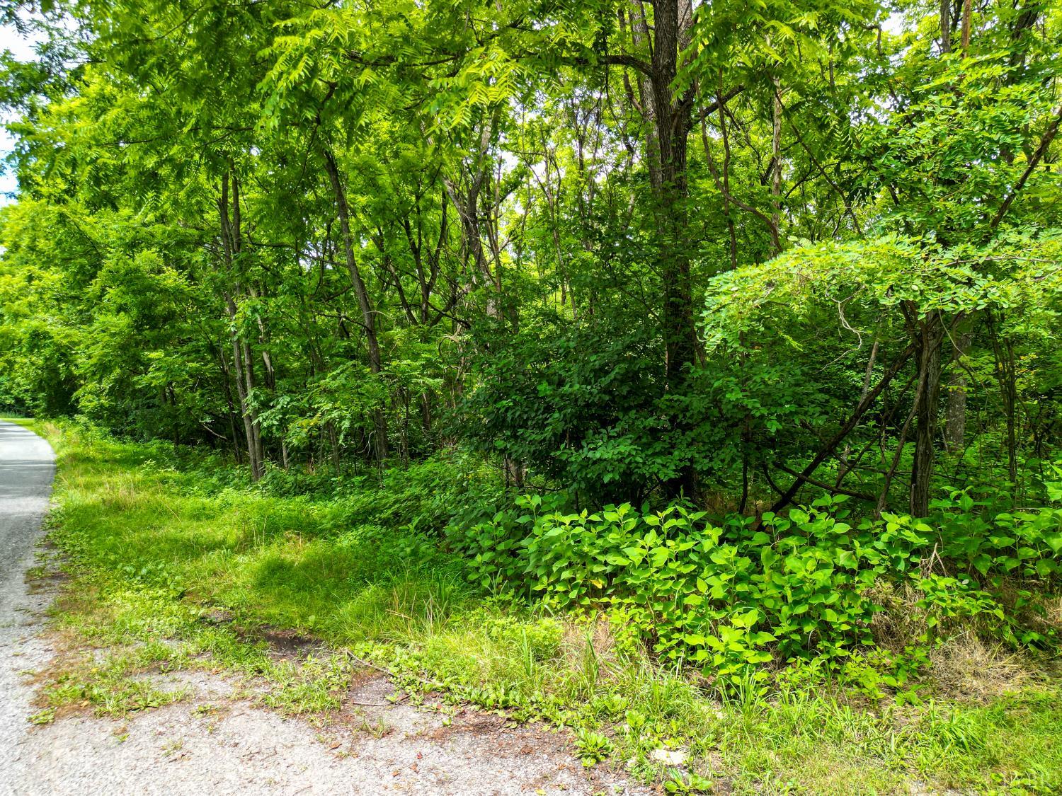 0 Elkton Farm Road Forest, VA 24551 - Photo 5 of 30