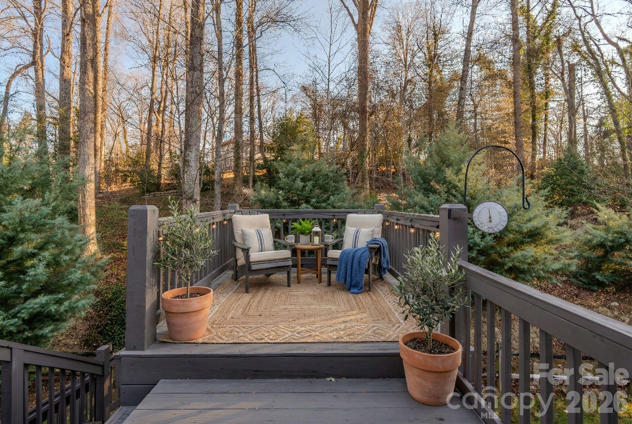 66 Fox Trot Lane Tryon, NC 28782 - Photo 29 of 48