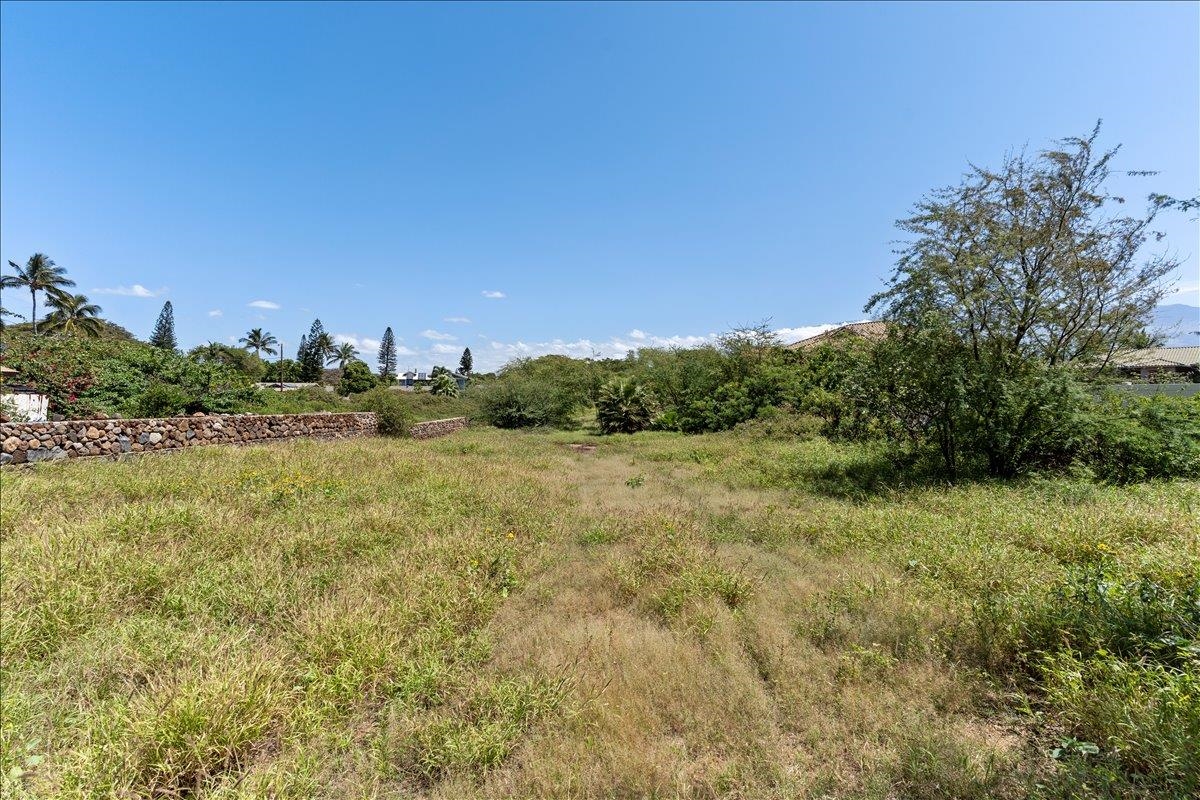 371 South Kihei Road Kihei, HI 96753 - Photo 25 of 29 a view of a field of grass and trees