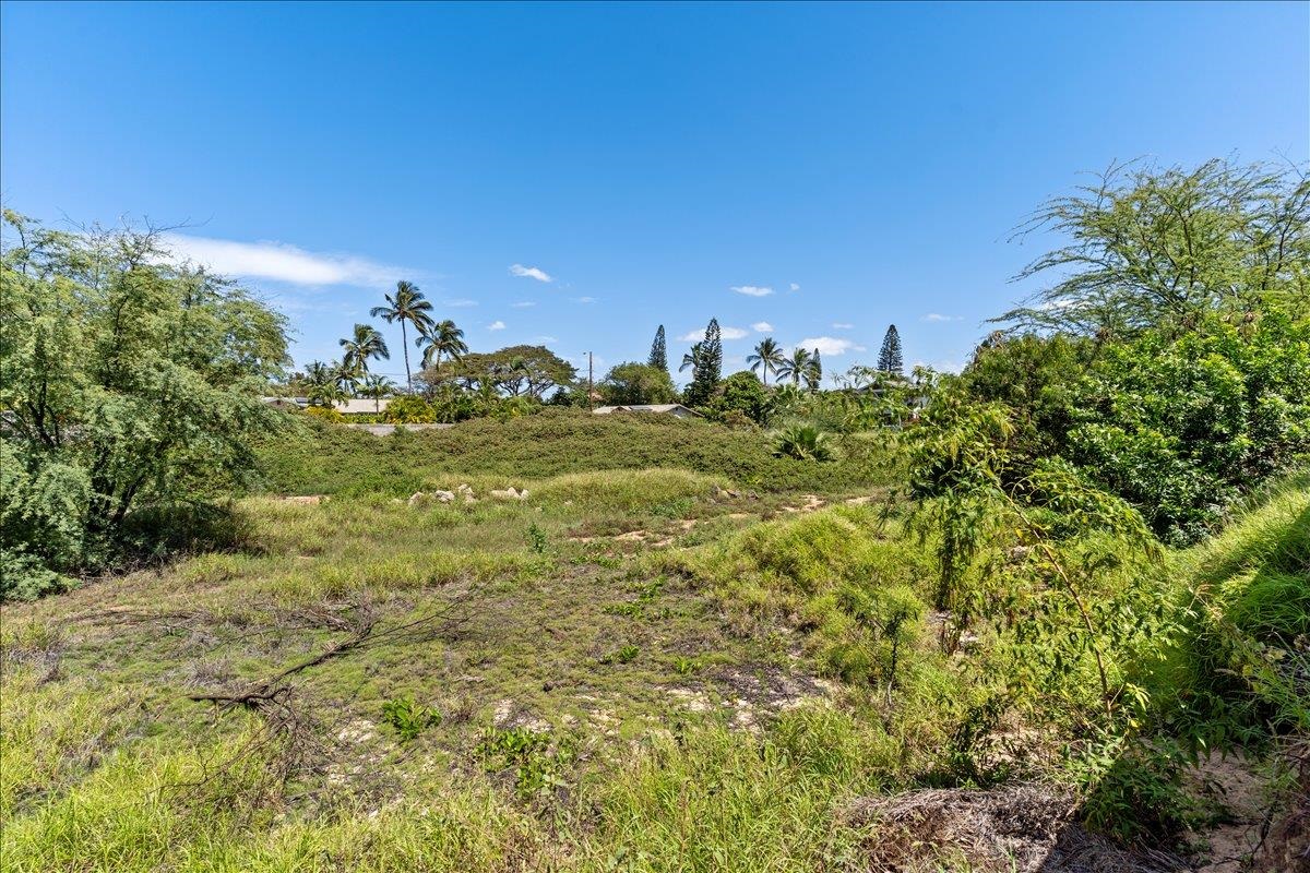 371 South Kihei Road Kihei, HI 96753 - Photo 26 of 29 a view of a big yard with a large tree and plants