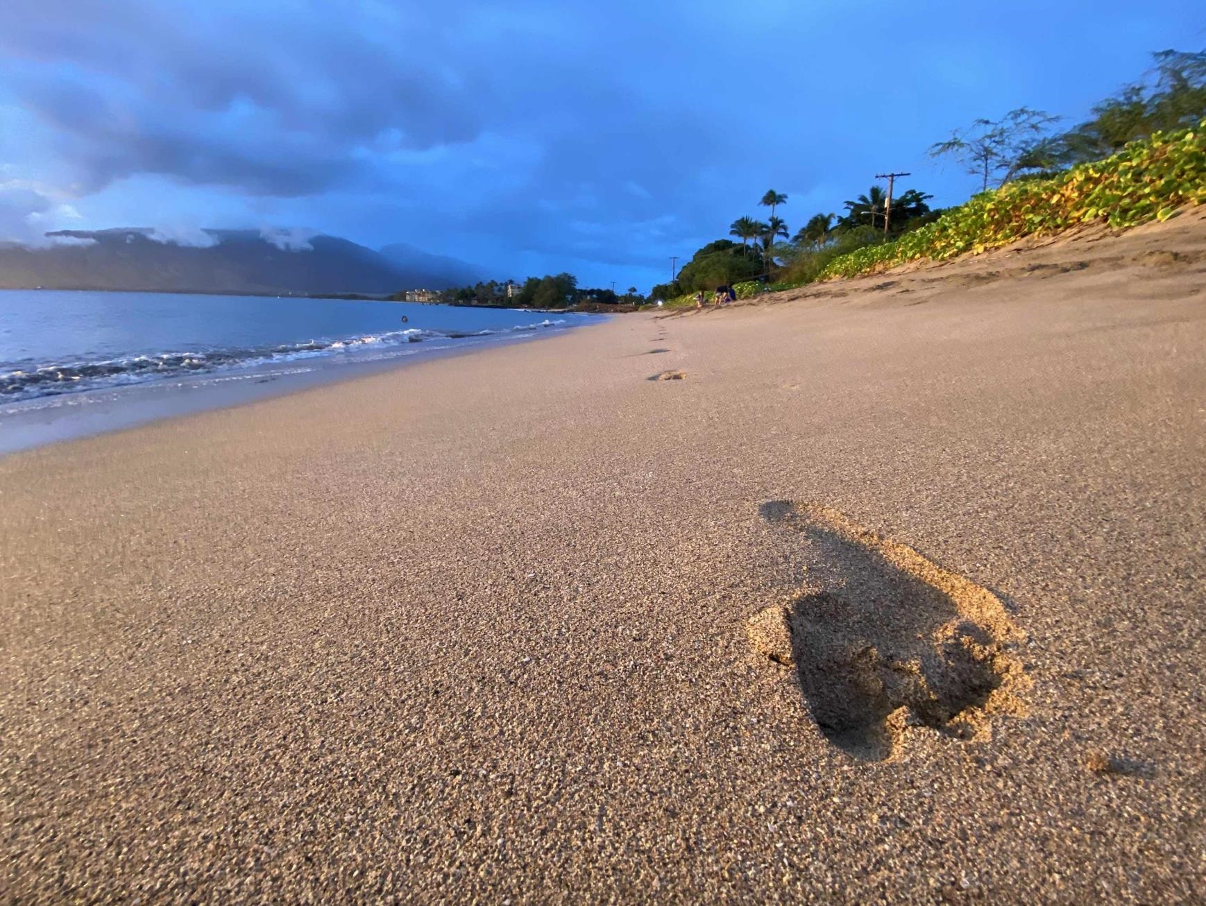 371 South Kihei Road Kihei, HI 96753 - Photo 10 of 29