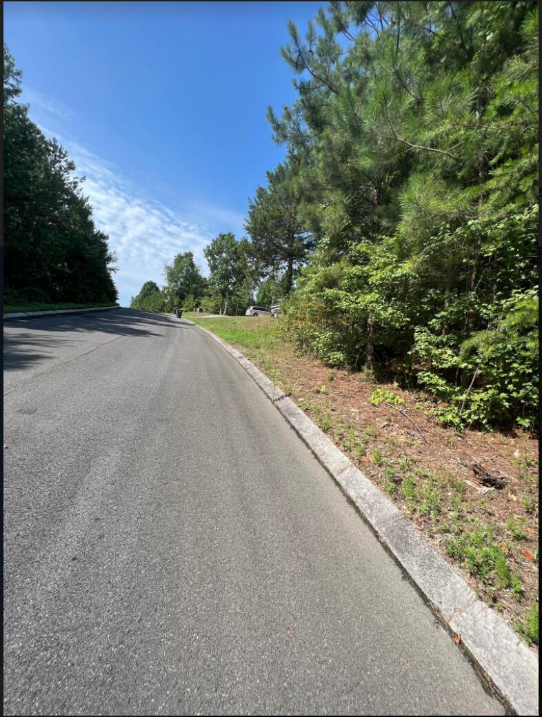 Lot 46 Peavine Way Rock Spring, GA 30739 - Photo 1 of 3 Screen Shot 2022-07-08 at 11.19.49 AM