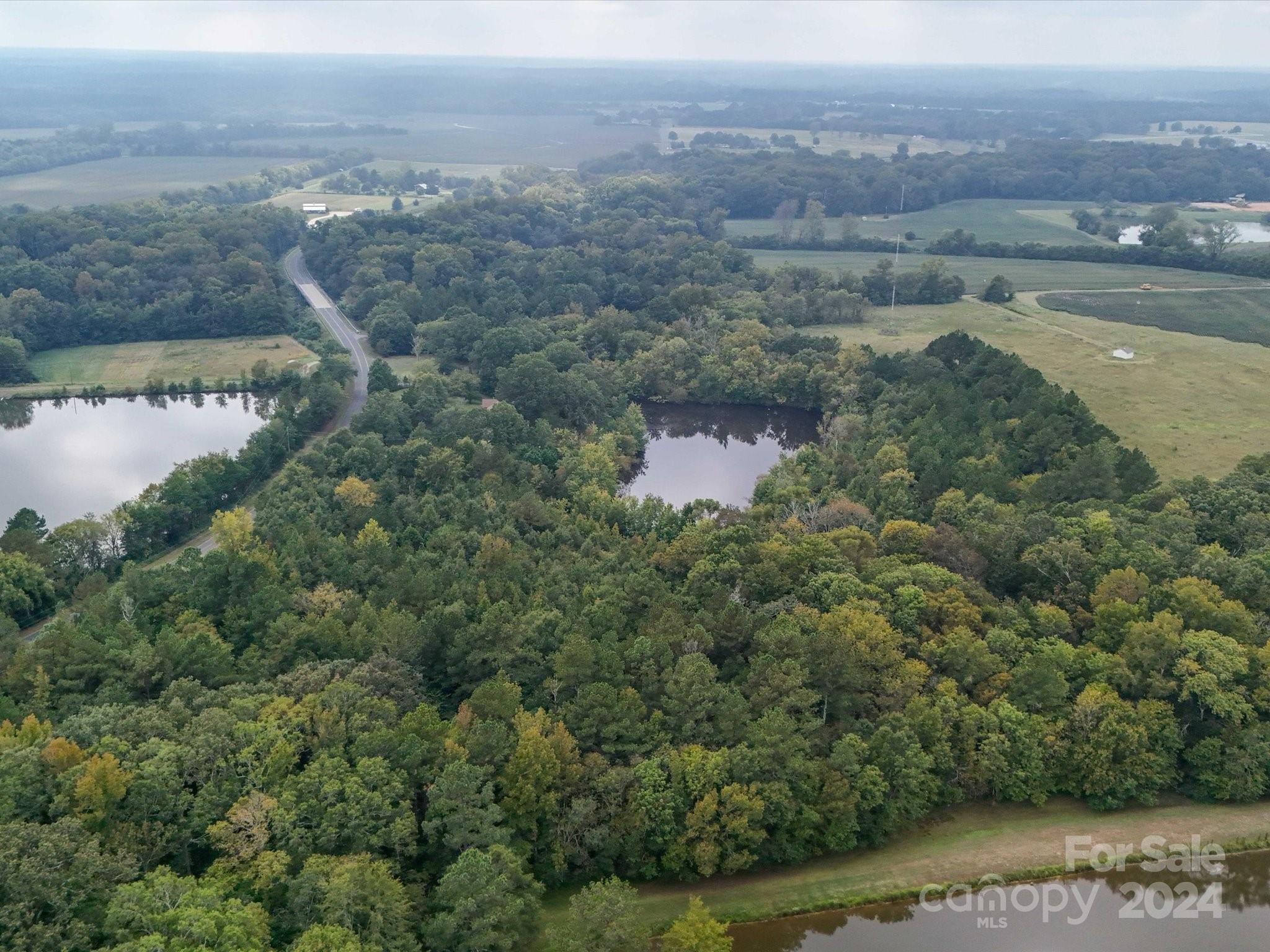 2492 Bridgewater Road Rock Hill, SC 29730 - Photo 13 of 20 an aerial view of a houses with a yard and lake view