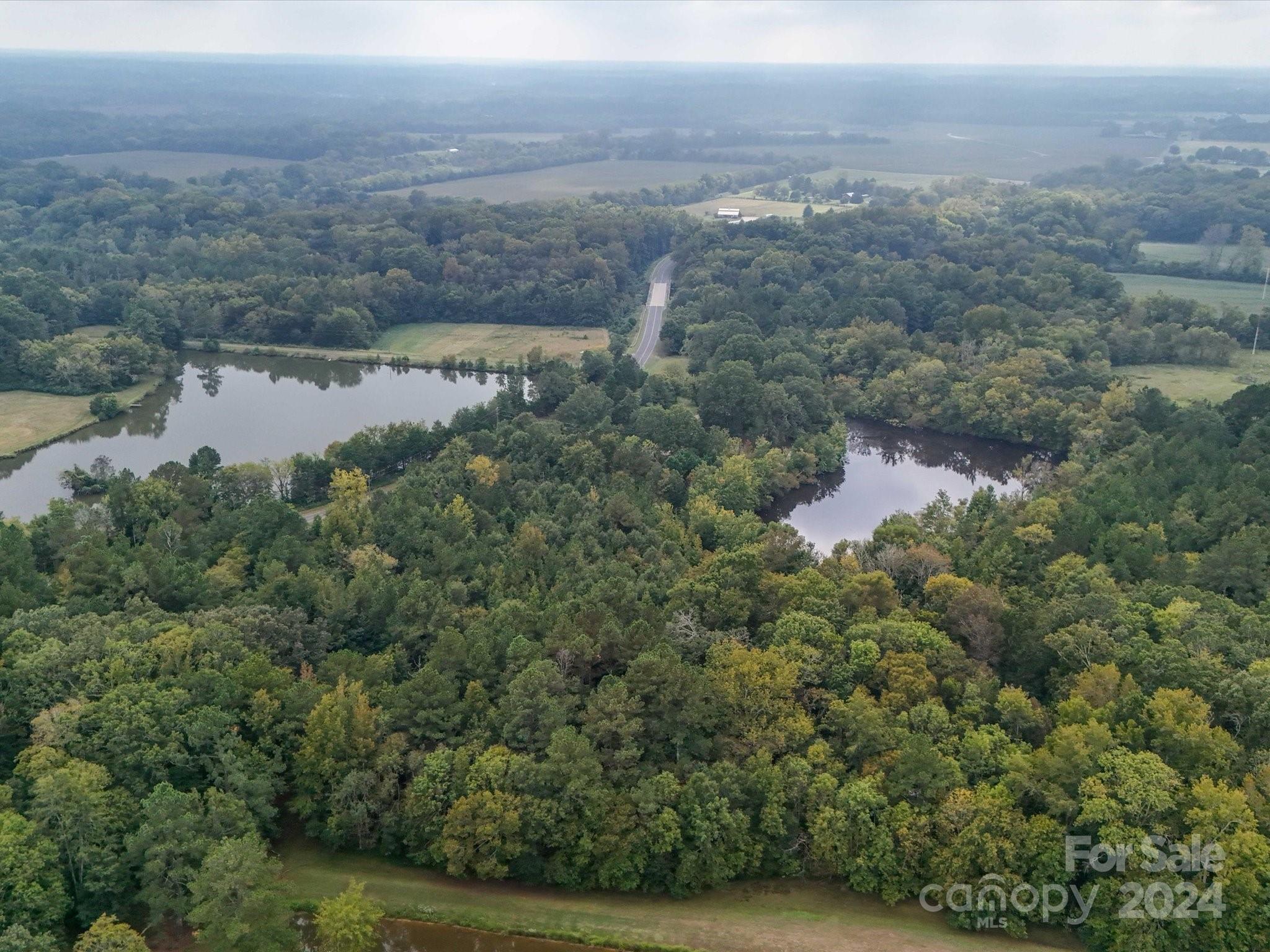 2492 Bridgewater Road Rock Hill, SC 29730 - Photo 14 of 20 a view of a lake in middle of the forest