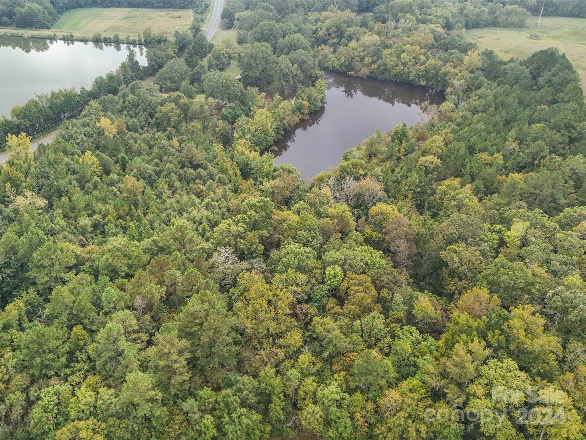 2492 Bridgewater Road Rock Hill, SC 29730 - Photo 7 of 20 a view of a lake from a yard
