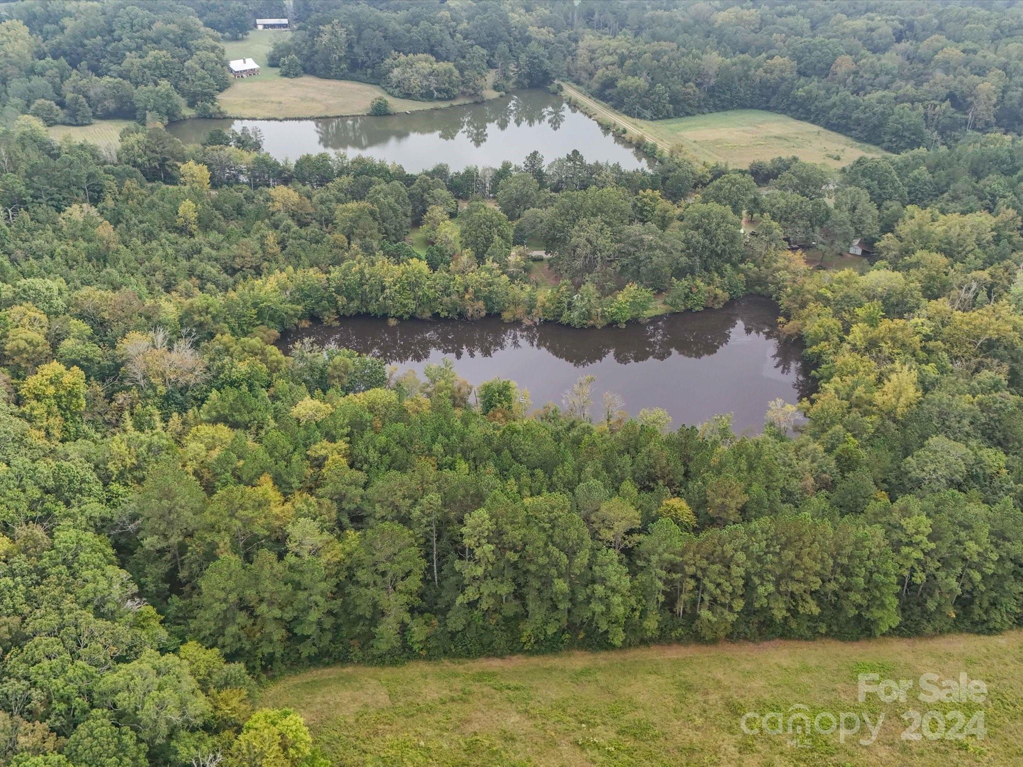 2492 Bridgewater Road Rock Hill, SC 29730 - Photo 8 of 20 a view of a lake from a yard