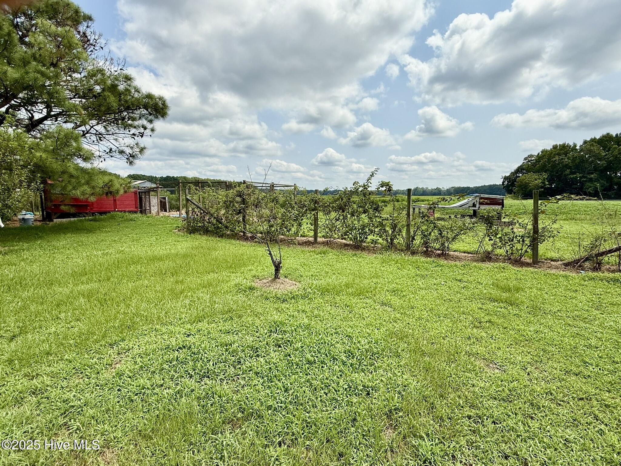 1885 Bennett Road Oak City, NC 27857 - Photo 131 of 150 IMG_4208