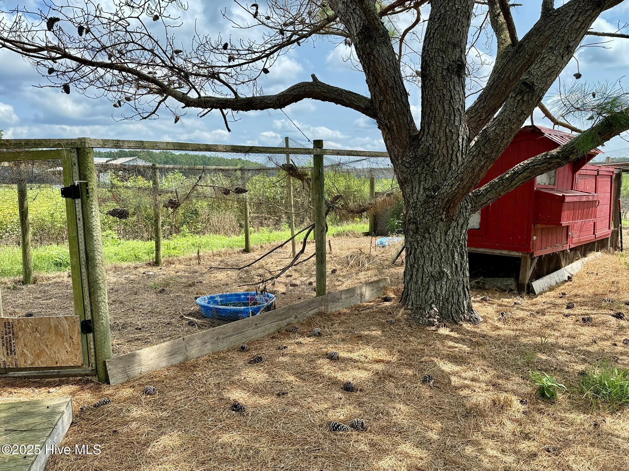 1885 Bennett Road Oak City, NC 27857 - Photo 133 of 150 IMG_4210