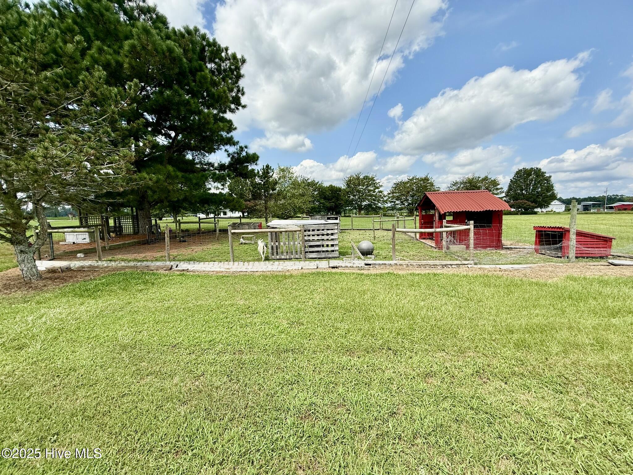 1885 Bennett Road Oak City, NC 27857 - Photo 135 of 150 IMG_4212