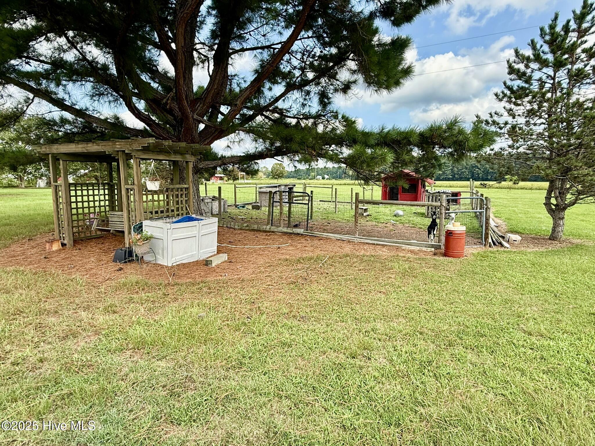 1885 Bennett Road Oak City, NC 27857 - Photo 136 of 150 IMG_4214