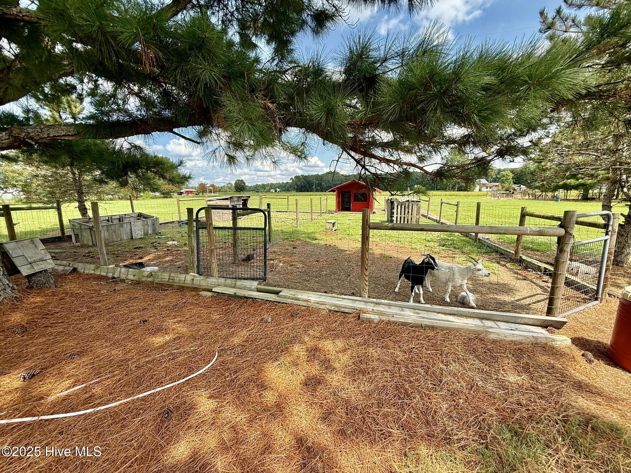 1885 Bennett Road Oak City, NC 27857 - Photo 137 of 150 IMG_4215