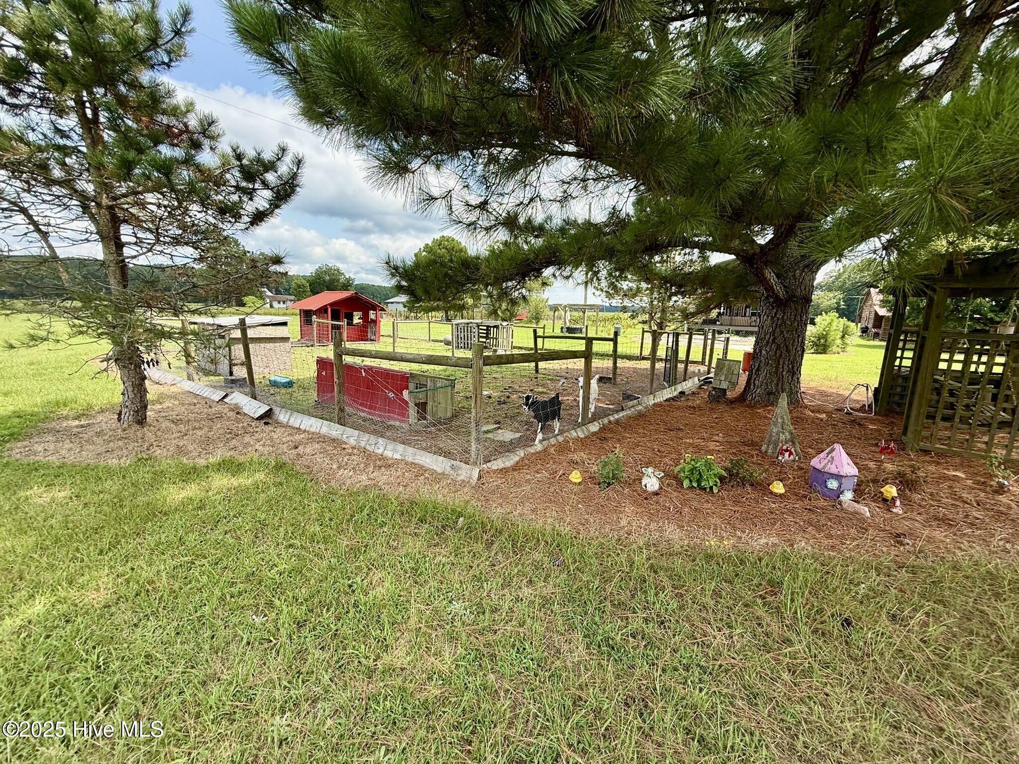 1885 Bennett Road Oak City, NC 27857 - Photo 138 of 150 IMG_4216