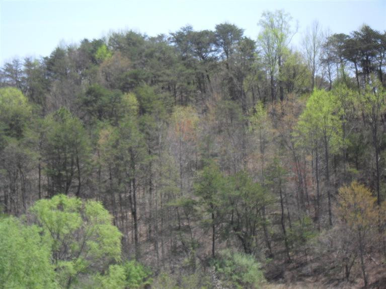 1 East Pittsburg Church Road London, KY 40741 - Photo 4 of 8 Photo 4