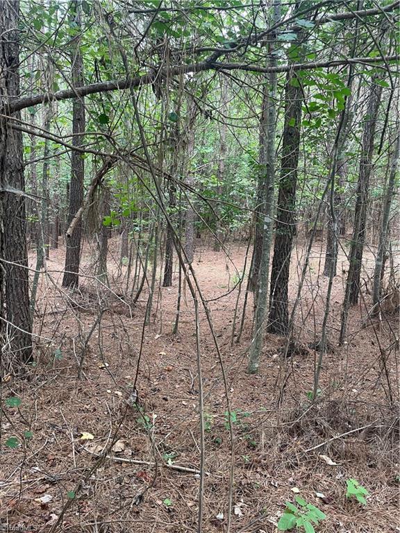 0 South Stokes School Road Walnut Cove, NC 27052 - Photo 3 of 6 Gallery Image 3