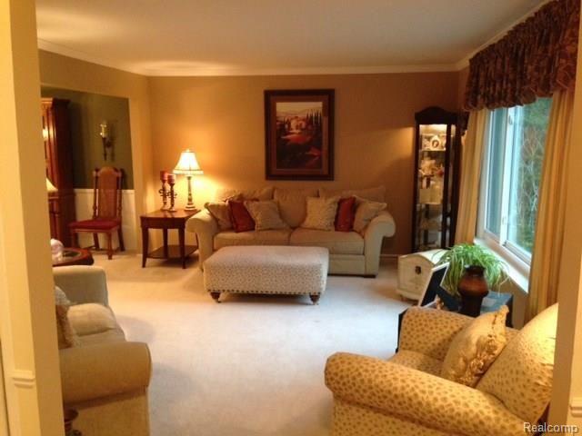 11215 Buno Road Brighton, MI 48114 - Photo 13 of 37 Living Room