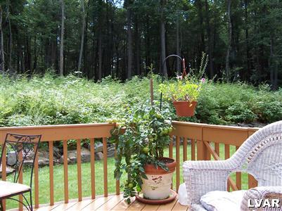 50 Rhododendron Trail Jim Thorpe, PA 18229 - Photo 3 of 12 View from back Deck