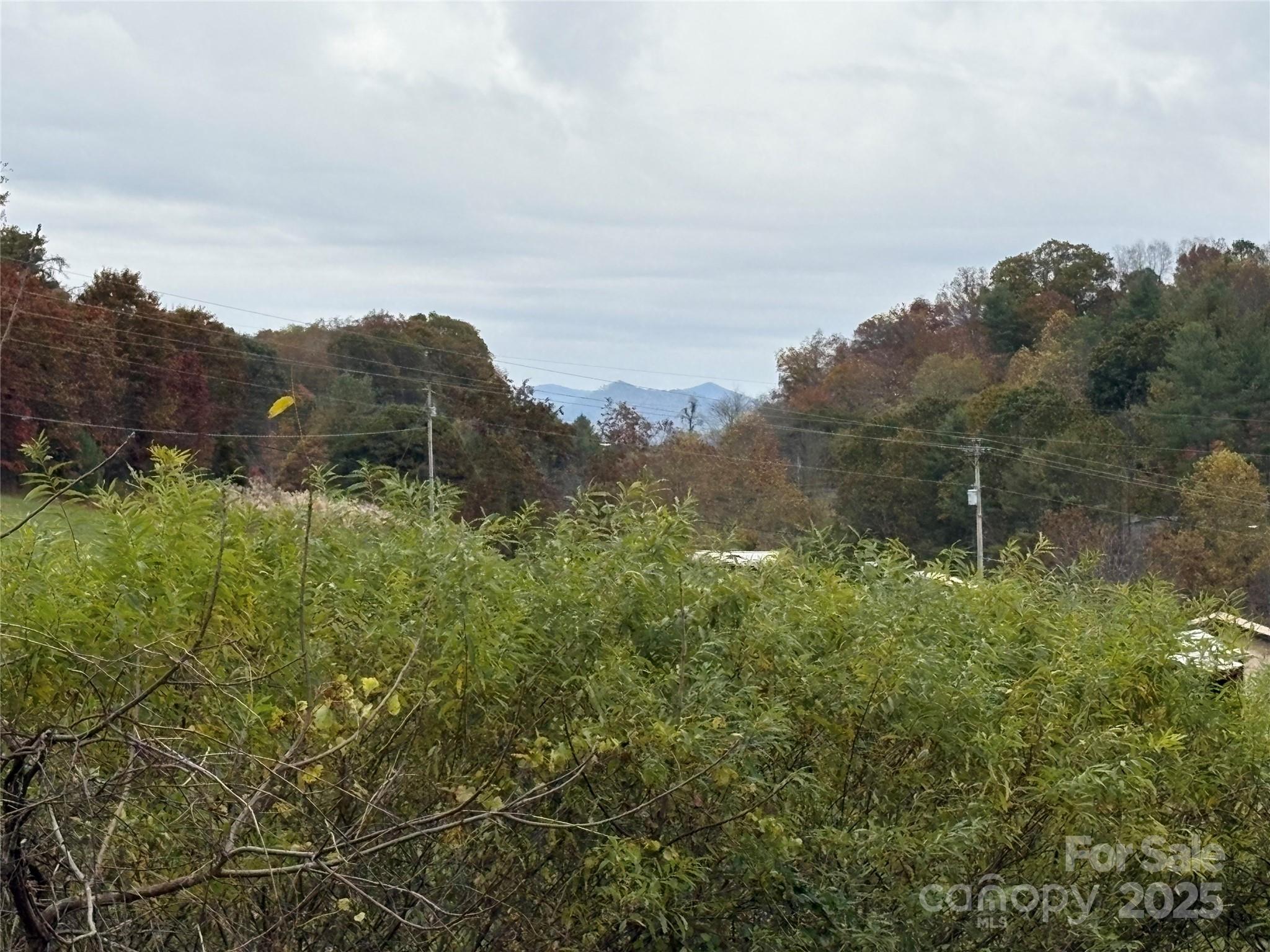 10 Scarlett Ridge Drive Marshall, NC 28753 - Photo 13 of 31 a view of a green field with lots of bushes