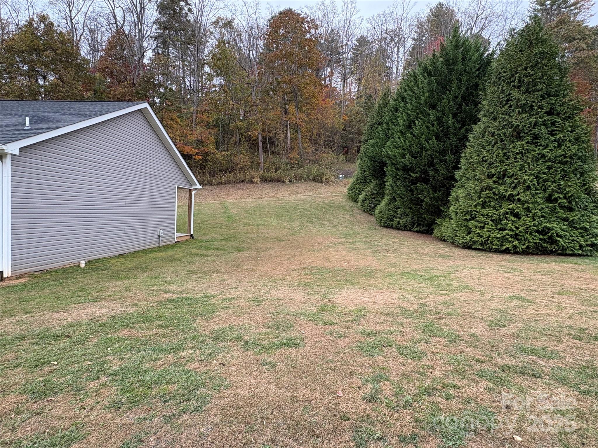 10 Scarlett Ridge Drive Marshall, NC 28753 - Photo 10 of 31 a view of a backyard with plants and large tree