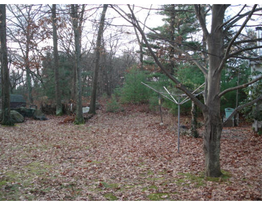 32 William Road Reading, MA 01867 - Photo 8 of 9 Gallery Image 8