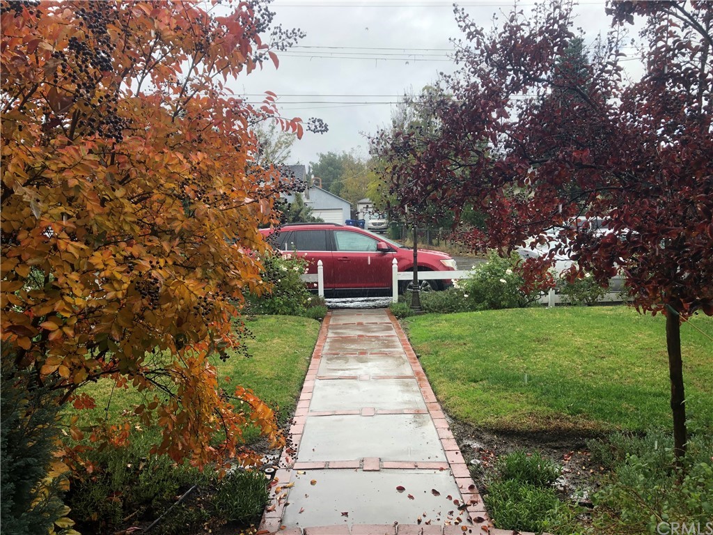 7548 Security Avenue Burbank, CA 91504 - Photo 2 of 41 a view of a yard with plants