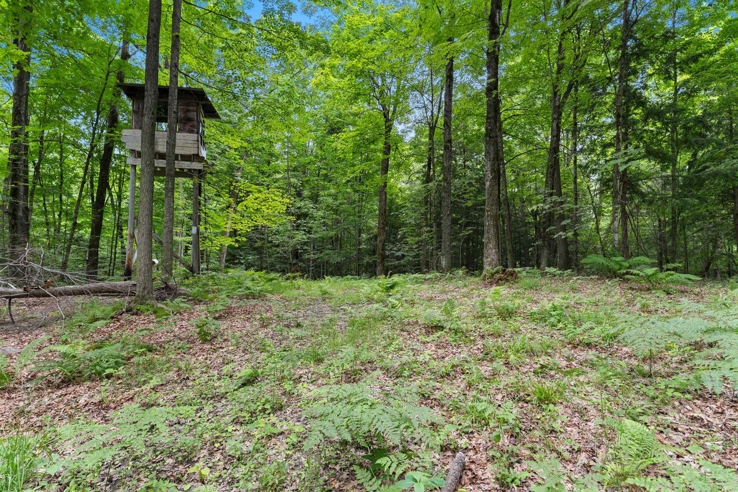 200800 Canopy Lane Rosholt, WI 54473 - Photo 19 of 90