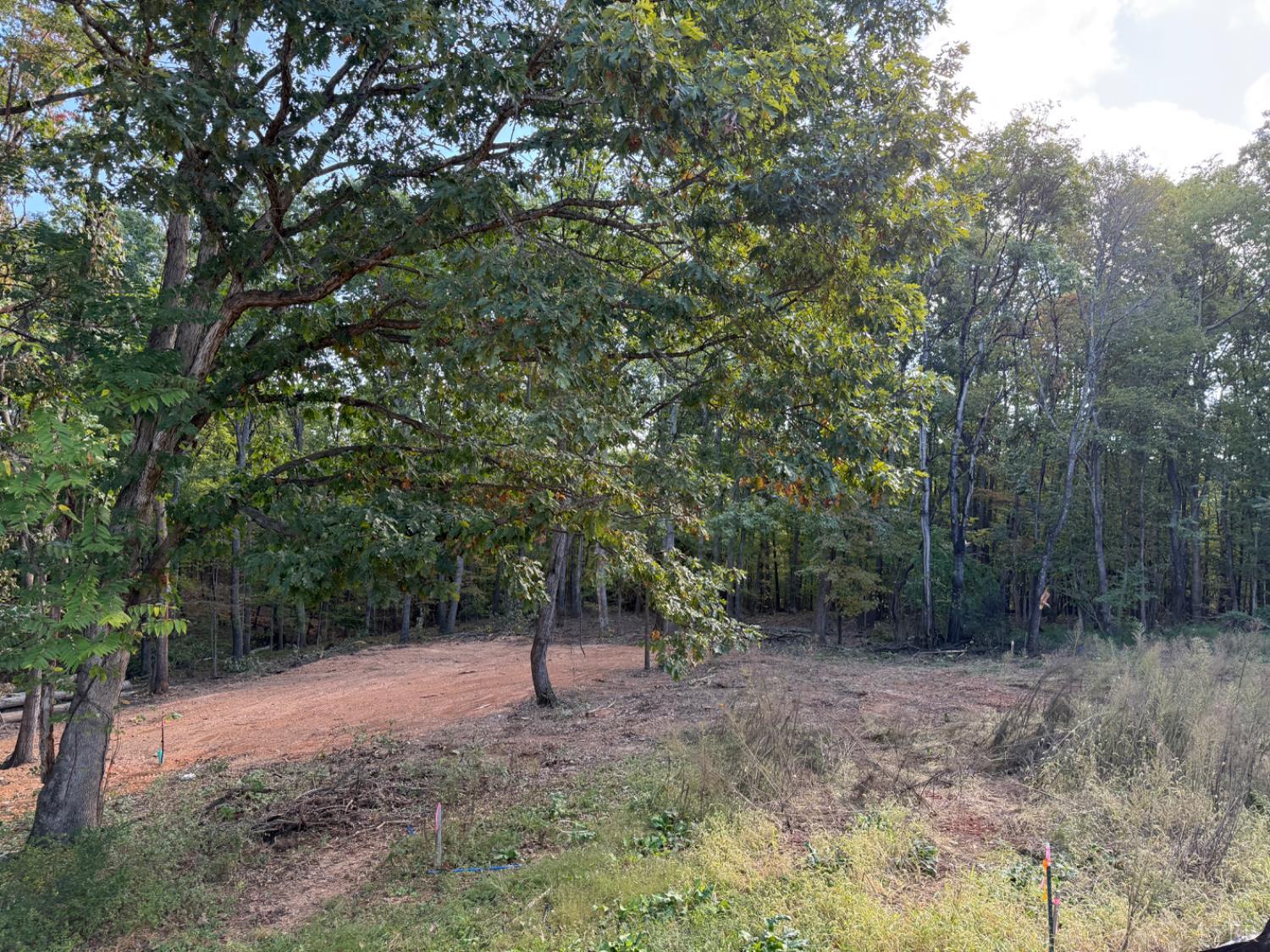 209 Spicer Road Lynchburg, VA 24504 - Photo 13 of 13 a view of a forest with trees in the background