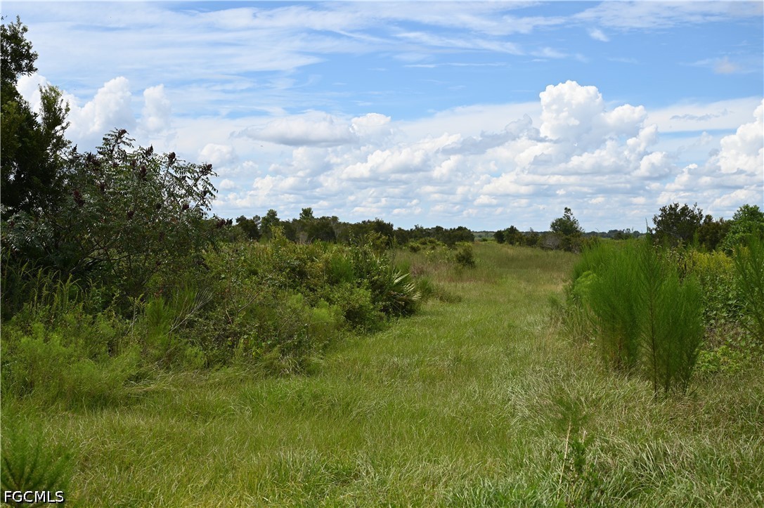 0 County Line Road East Bowling Green, FL 33834 - Photo 17 of 20
