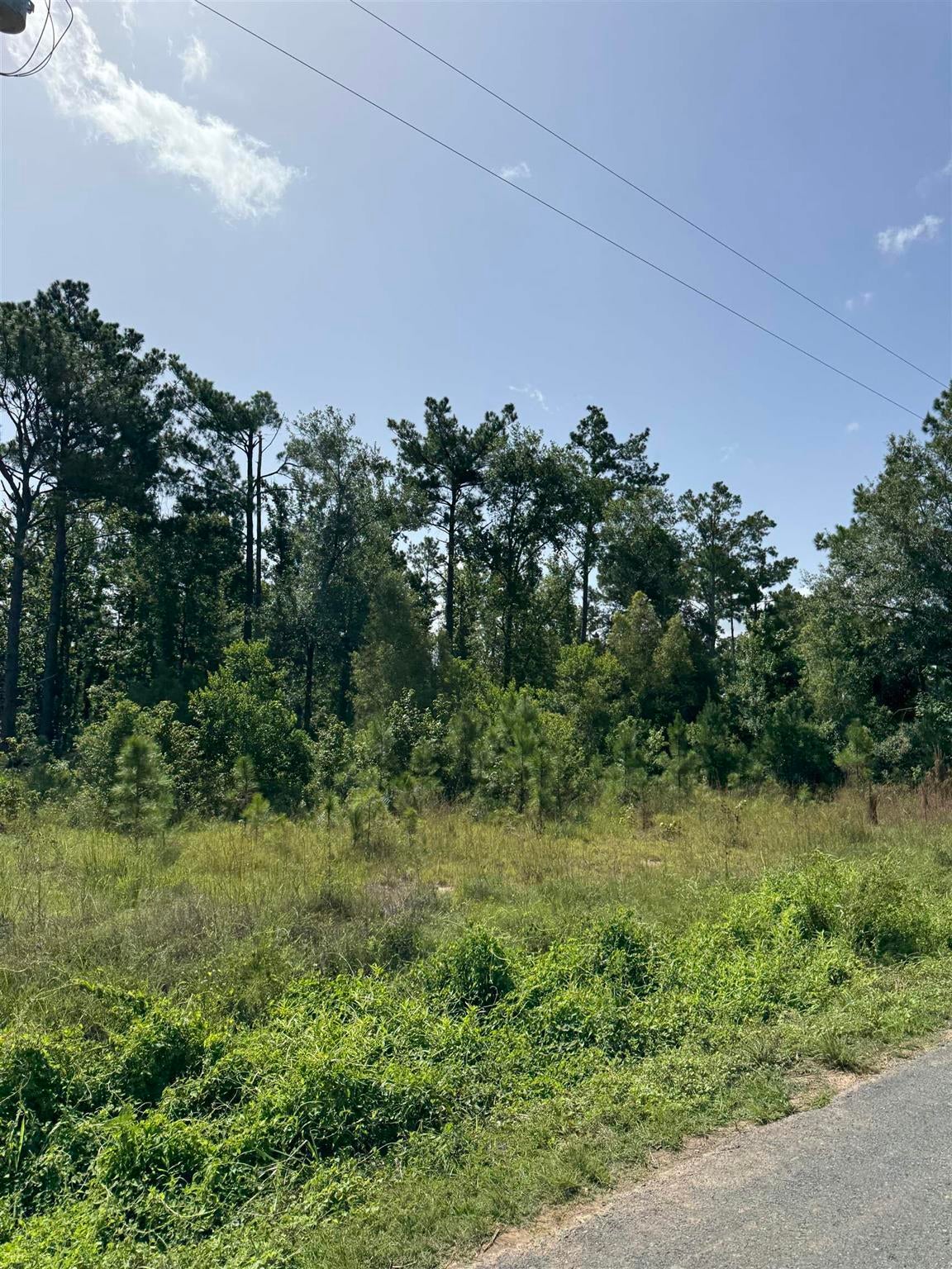A D Hodges Road Ragley, LA 70657 - Photo 5 of 6 Gallery Image 5