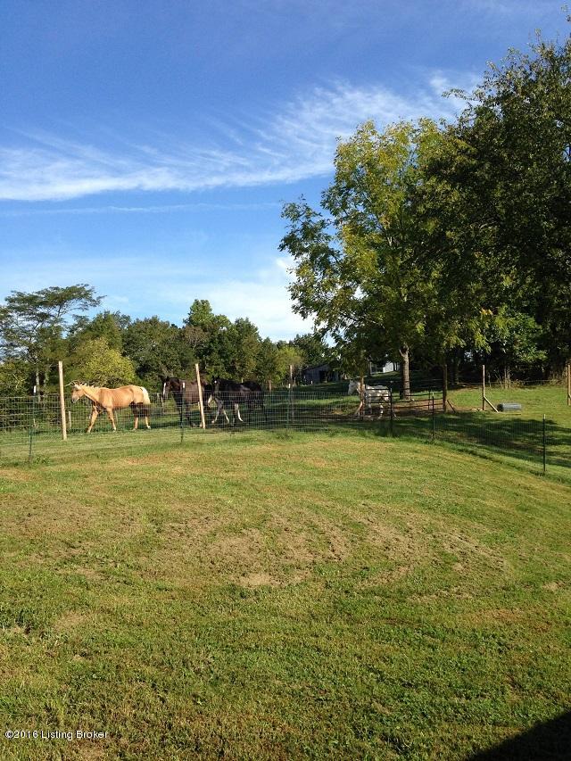 1362 Burgin Road Lawrenceburg, KY 40342 - Photo 21 of 22 IMG_0517