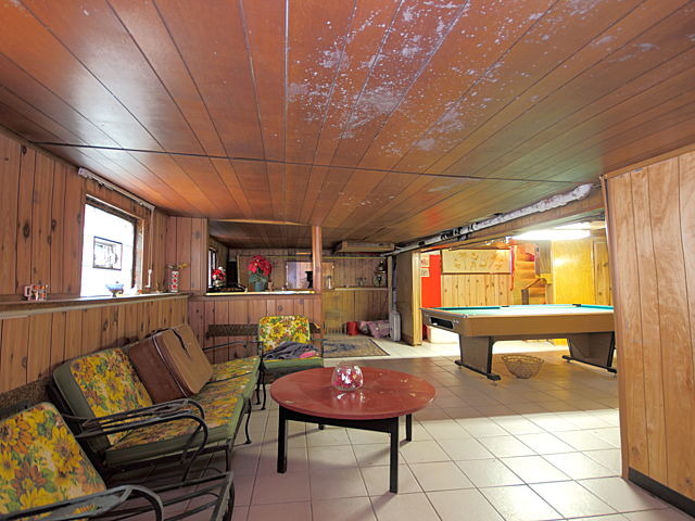 2005 Darrow Avenue Evanston, IL 60201 - Photo 18 of 24 a living room with furniture a rug and a potted plant