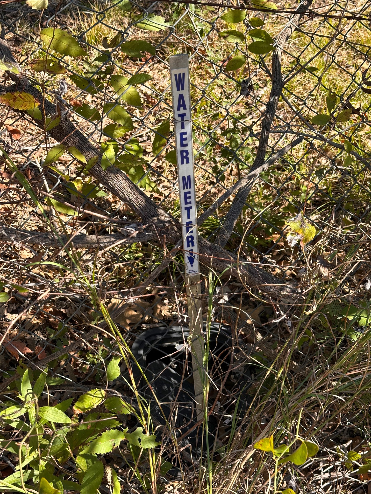 Lot 9 Foothill Road Bastrop, TX 78602 - Photo 2 of 12 a picture of tree