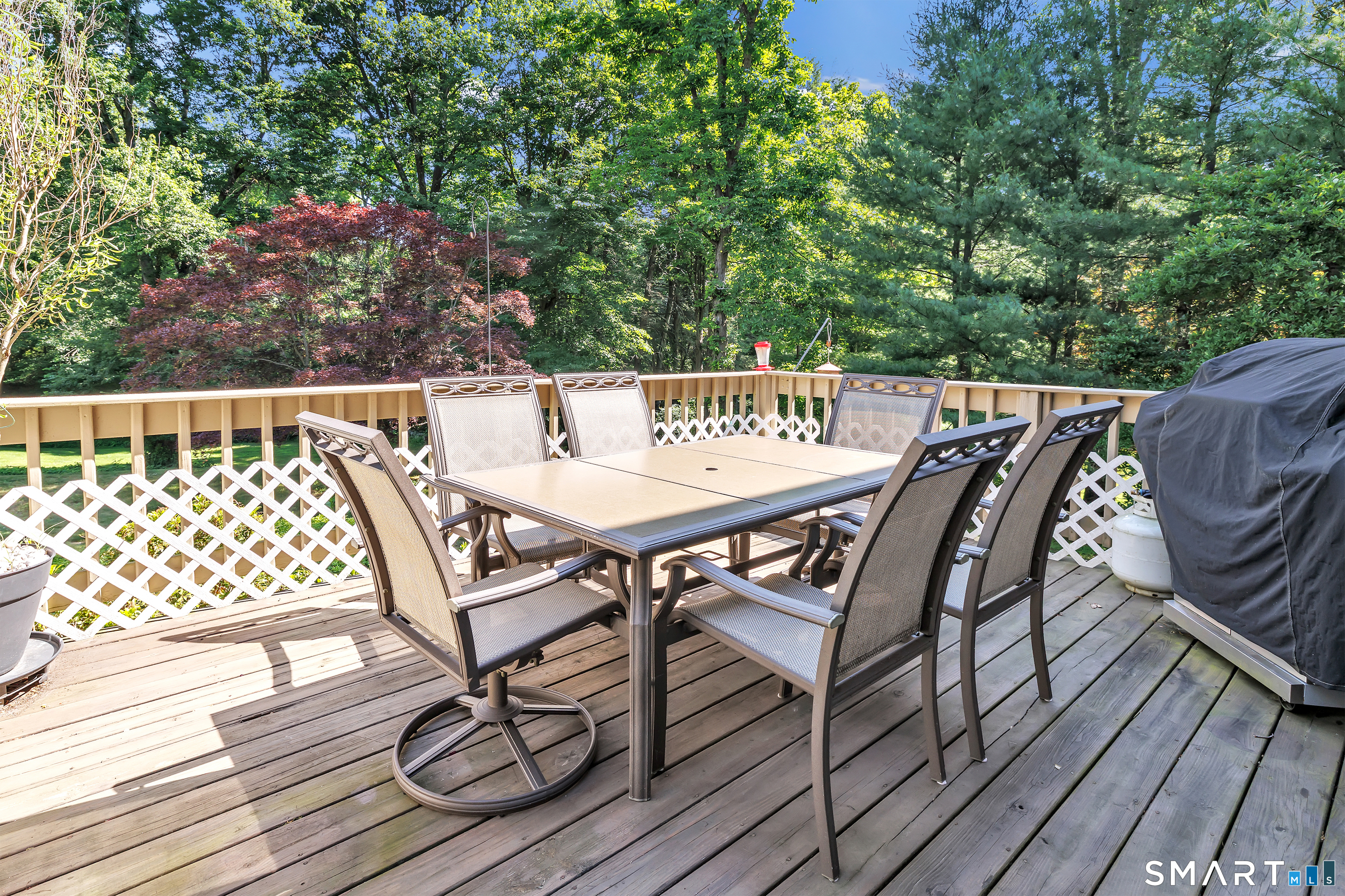 379 Waverly Road Shelton, CT 06484 - Photo 39 of 40