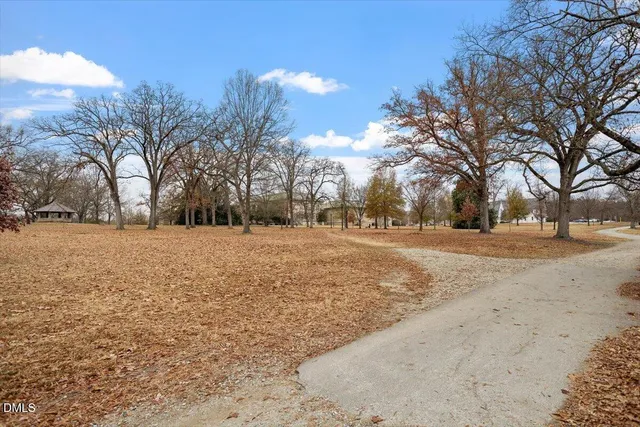 a view of snow on the road