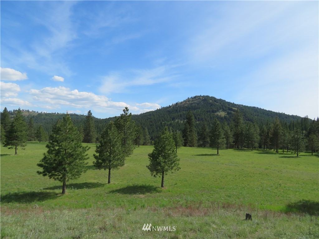 1 Cottonwood Road Republic, WA 99166 - Photo 19 of 25 Gallery Image 19