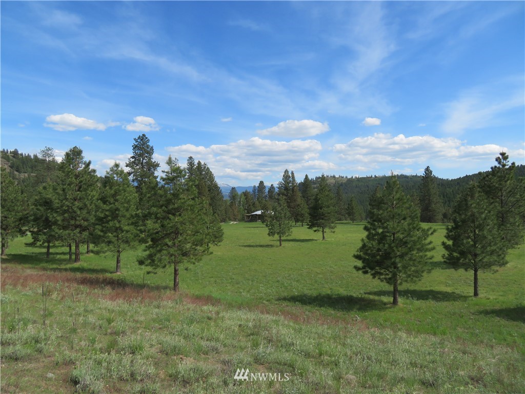 1 Cottonwood Road Republic, WA 99166 - Photo 20 of 25 Gallery Image 20