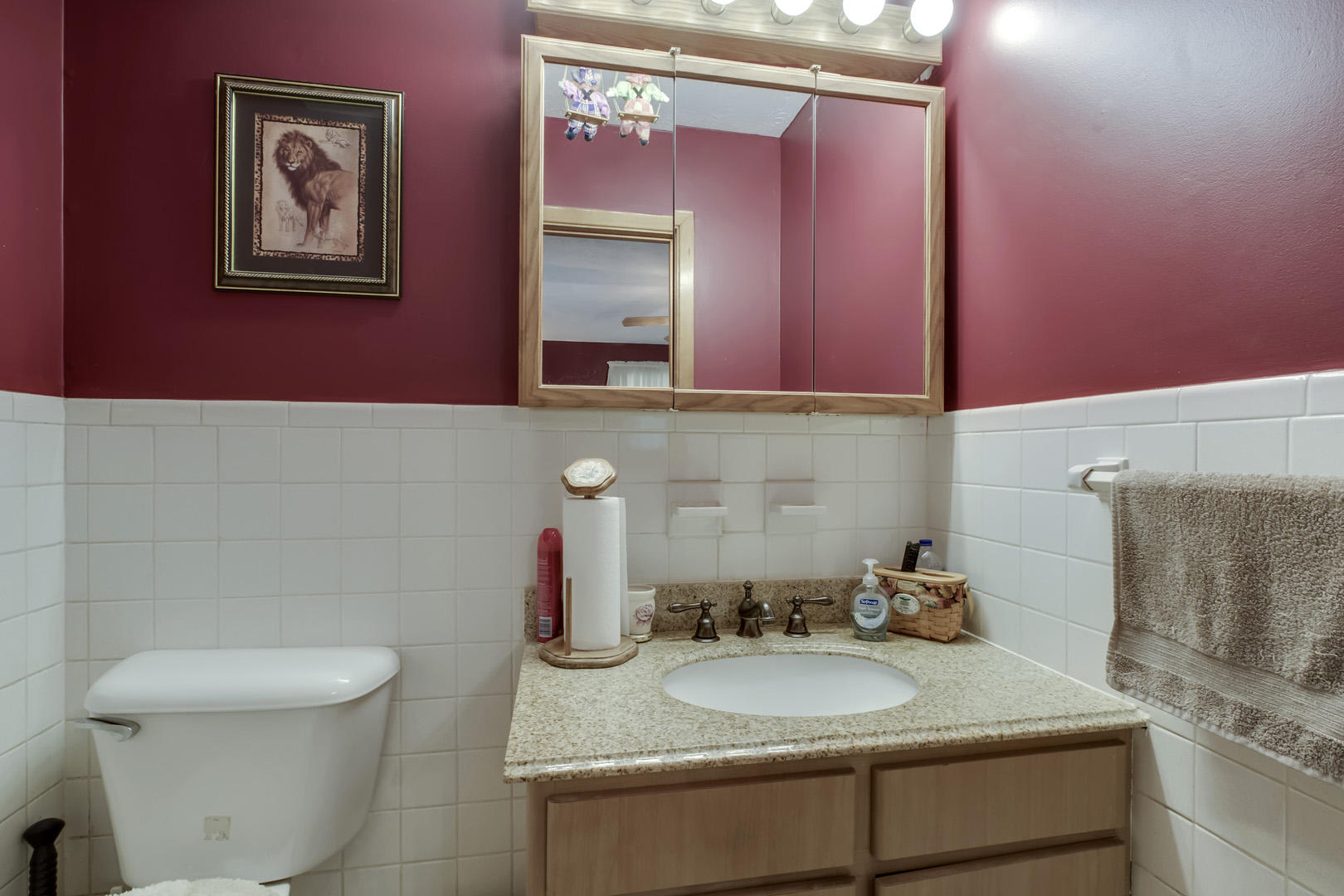 1038 Kirk Road Greenback, TN 37742 - Photo 20 of 40 20_KirkRoad_1038_MasterHalfBath