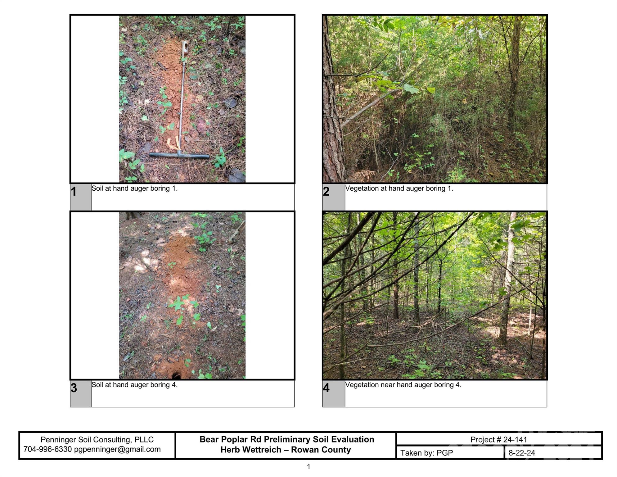 0 Bear Poplar Road Mount Ulla, NC 28125 - Photo 10 of 11