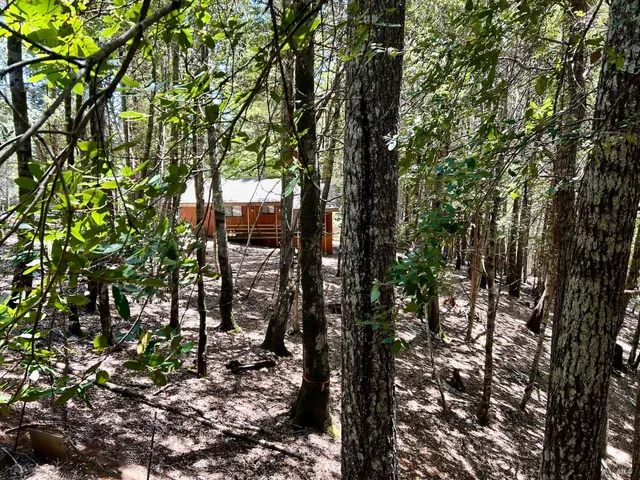 a view of outdoor space and yard