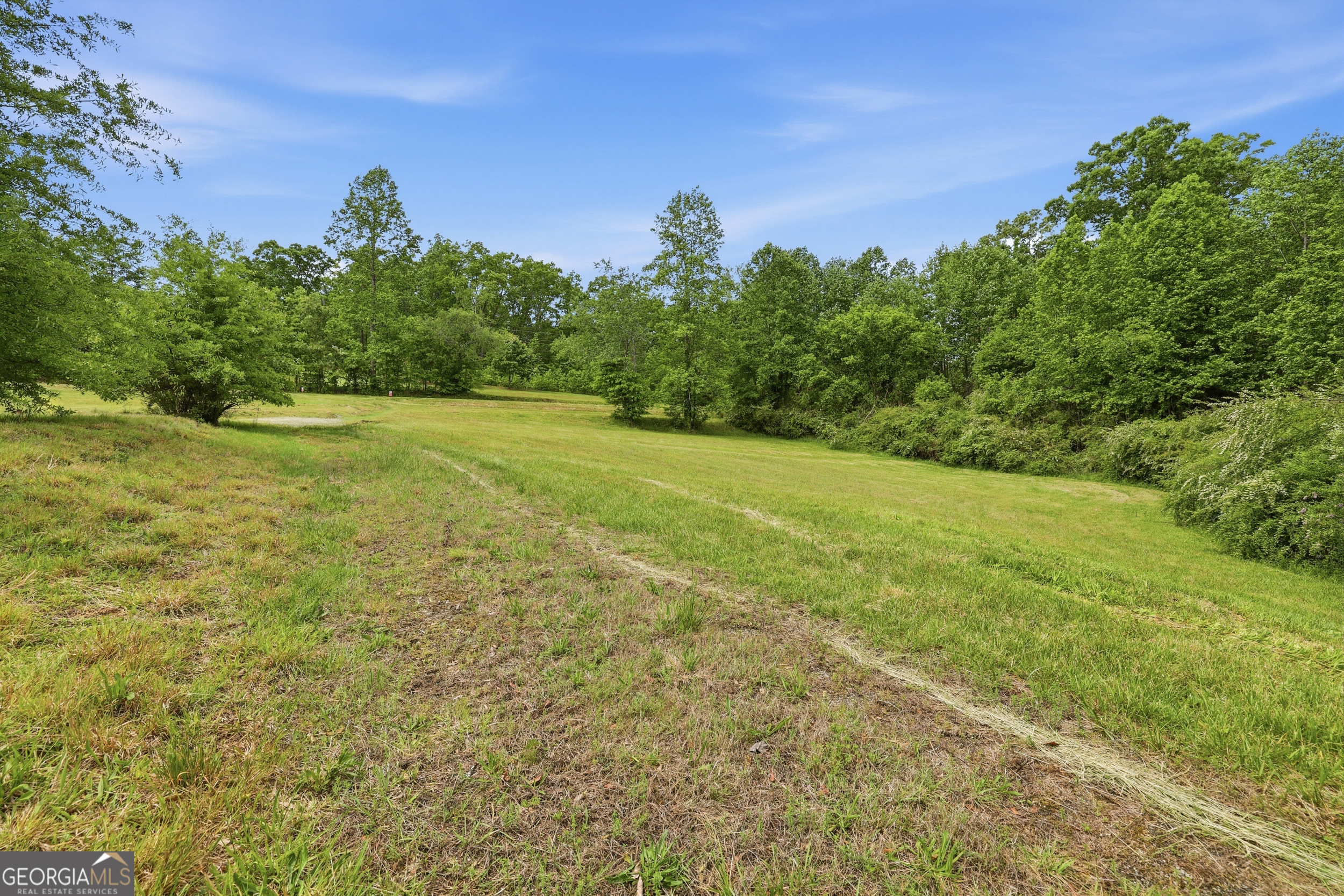2558 Stonepile Road Clarkesville, GA 30523 - Photo 11 of 26