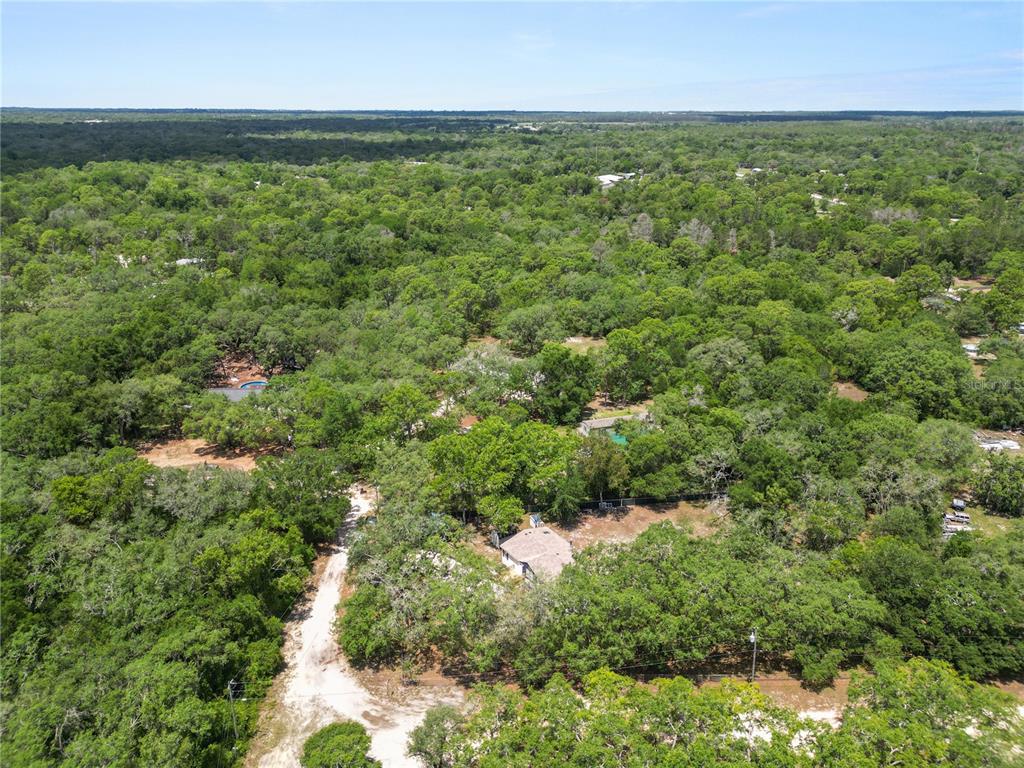 13043 Gennaro Road Hudson, FL 34669 - Photo 53 of 55