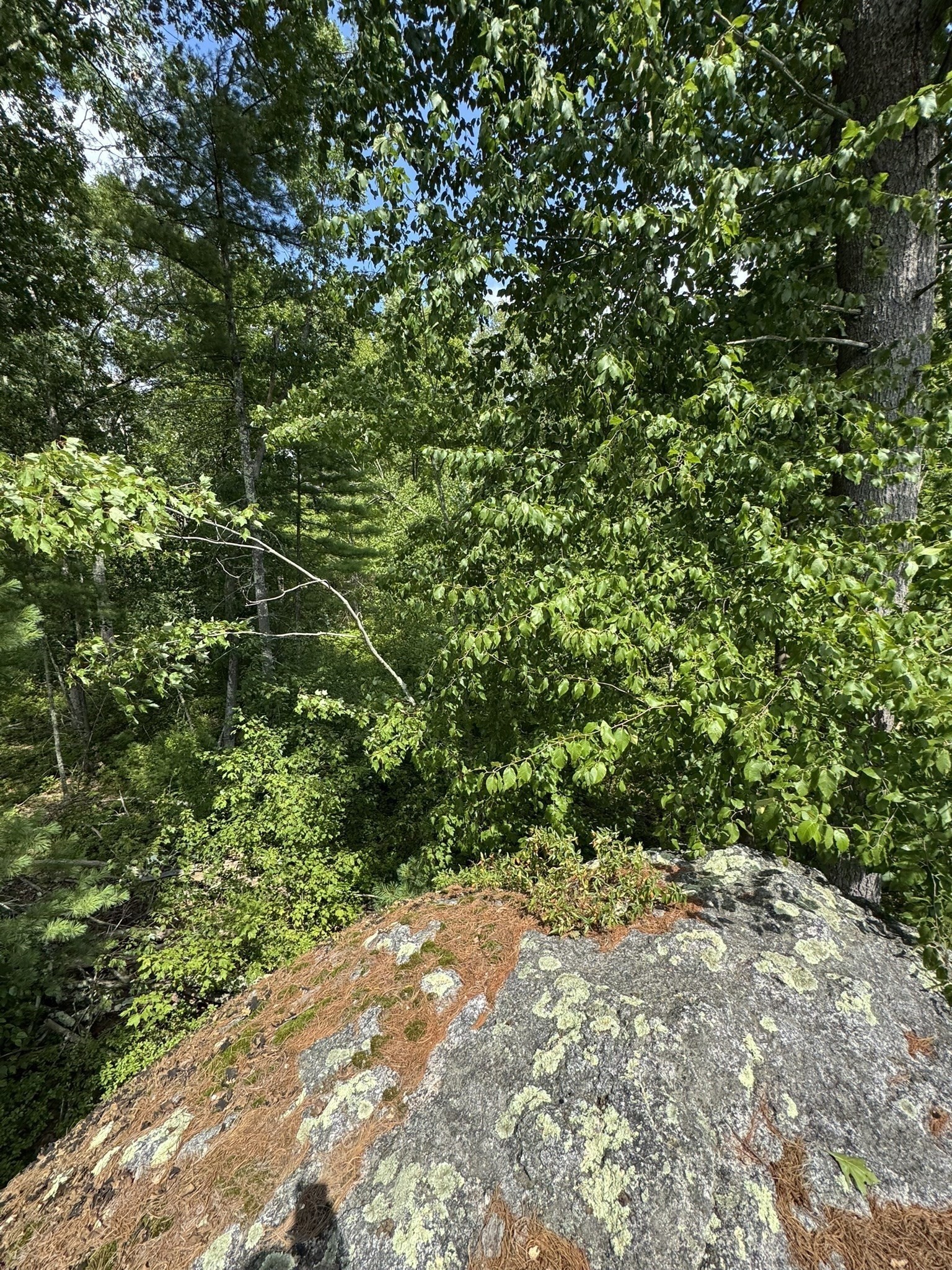 0 Patrill Hollow Road Hardwick, MA 01037 - Photo 18 of 24 Gallery Image 18