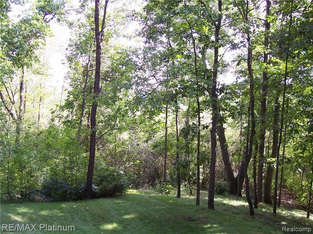 7508 Welle Road Brighton, MI 48116 - Photo 49 of 64 2004-06-08 16.26