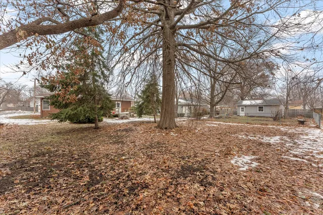 a view of a yard with plants and trees