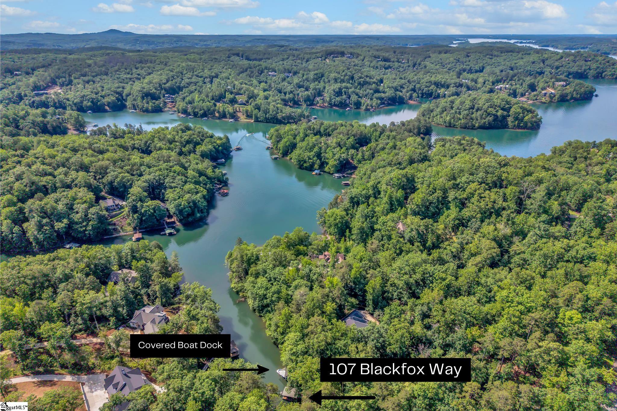 107 Blackfox Way Sunset, SC 29685 - Photo 10 of 50