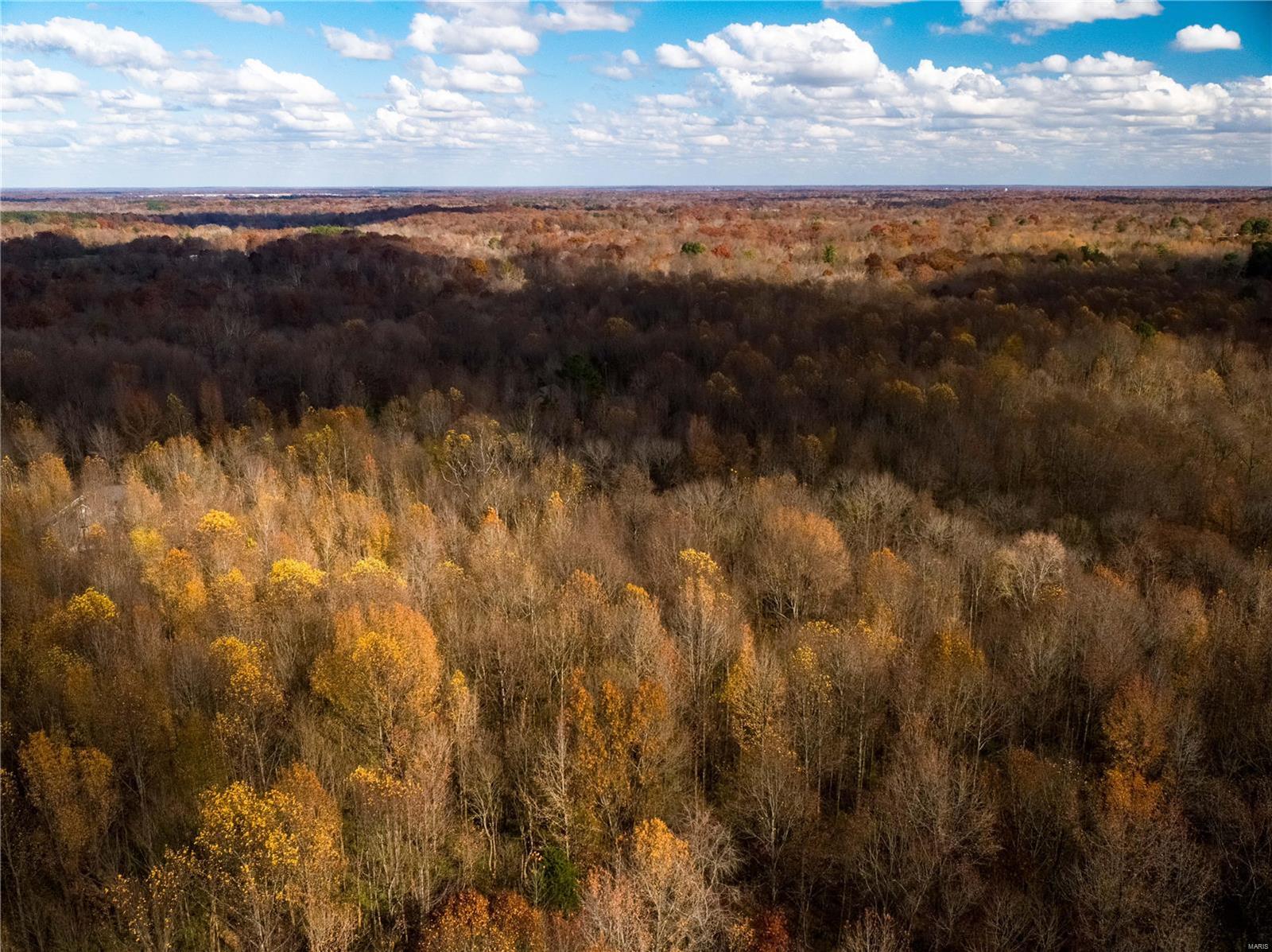 418 Crabtree Road Murphysboro, IL 62966 - Photo 53 of 70
