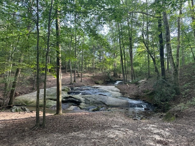 0 Quill Road Bowman, GA 30624 - Photo 1 of 1 a view of a forest