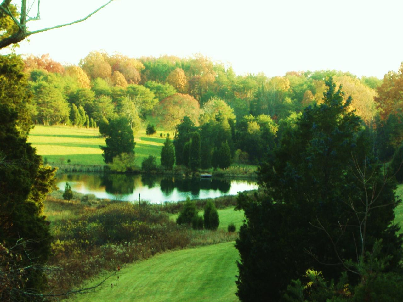 1340 Hunters Spur Road Moneta, VA 24121 - Photo 1 of 6 Valley View of Land & Pond
