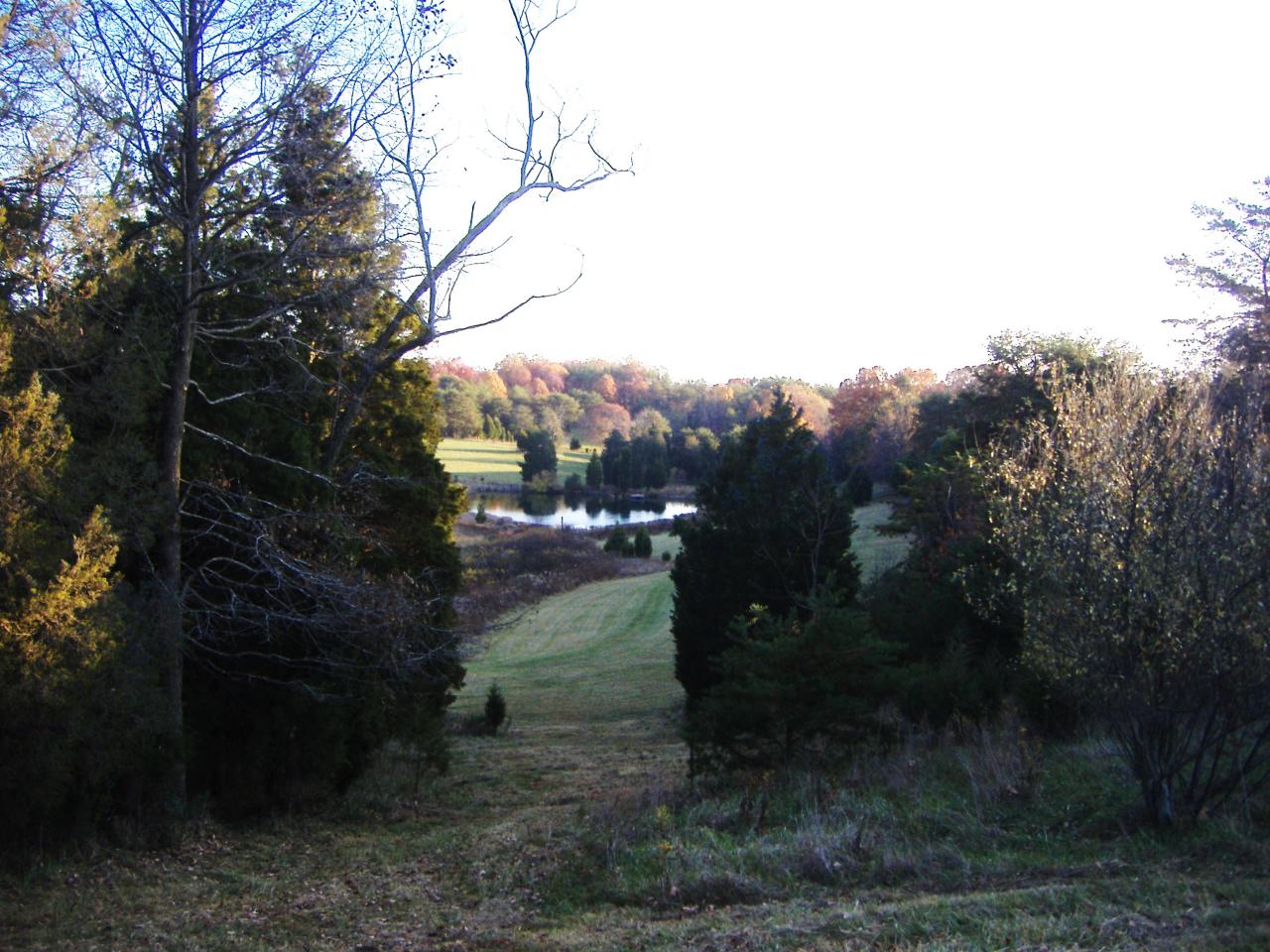 1340 Hunters Spur Road Moneta, VA 24121 - Photo 2 of 6 Valley View of Land & Pond