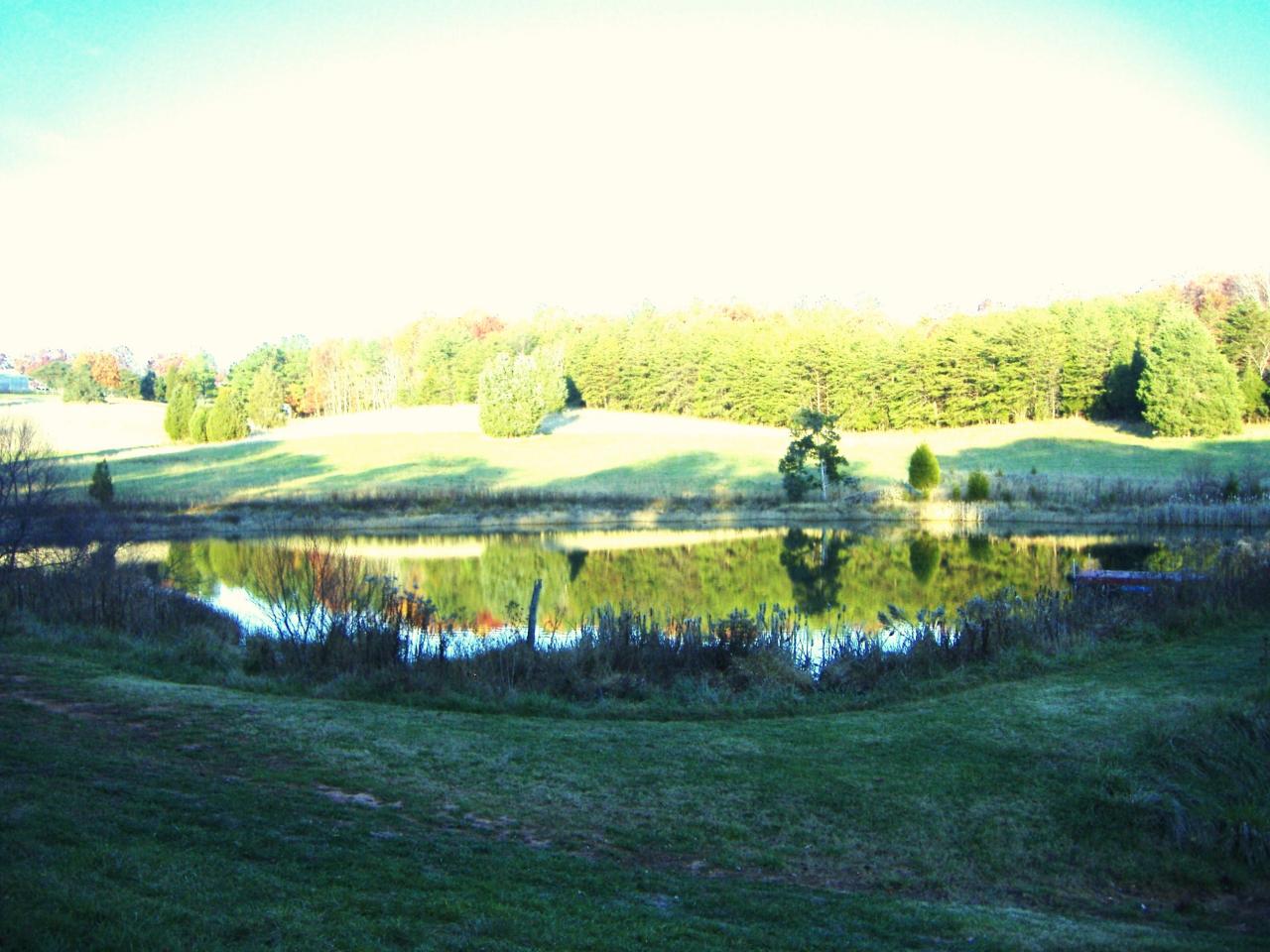 1340 Hunters Spur Road Moneta, VA 24121 - Photo 3 of 6 Valley View of Land & Pond