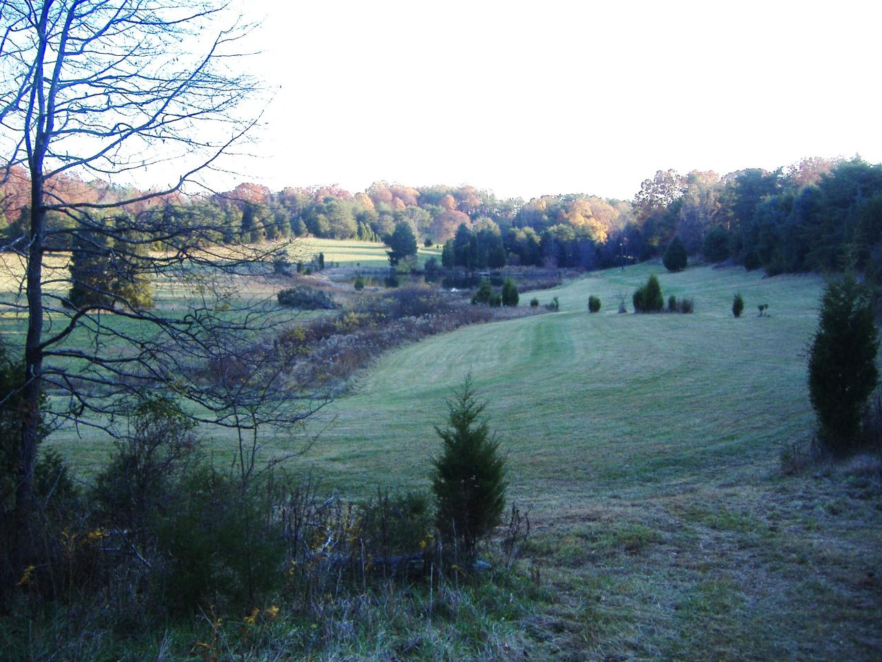 1340 Hunters Spur Road Moneta, VA 24121 - Photo 5 of 6 Valley View of Land & Pond